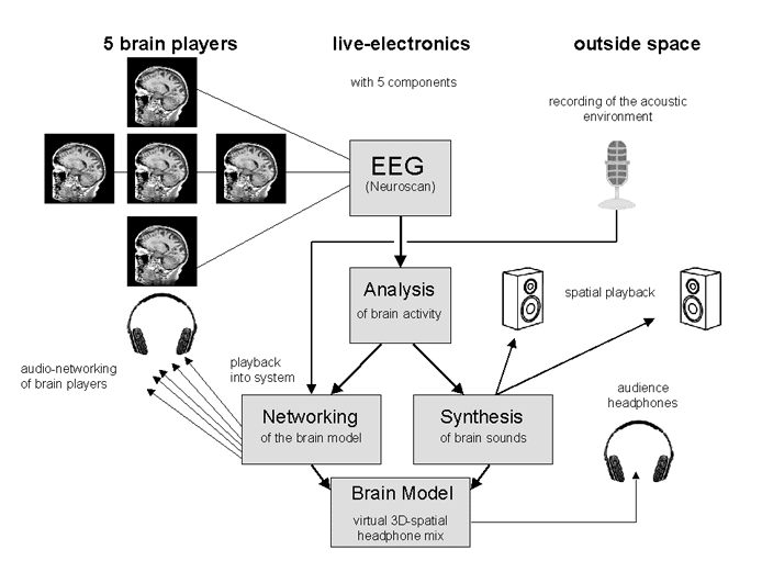 Brain study - System